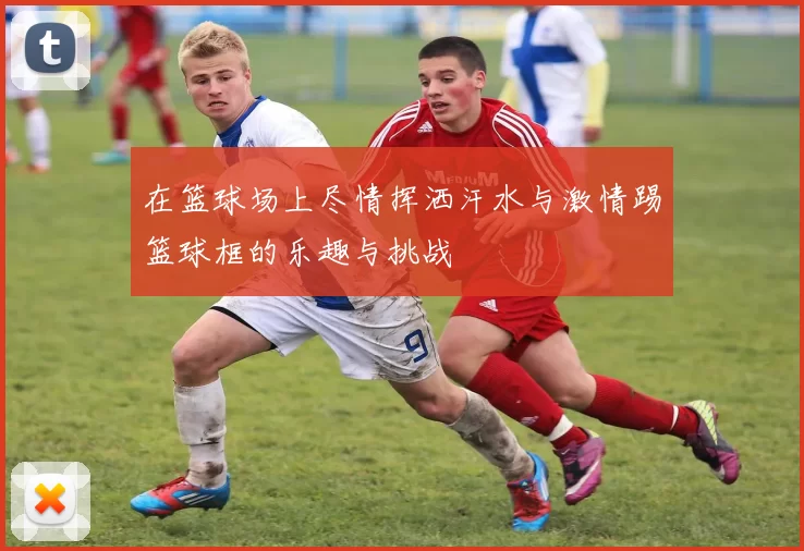 在篮球场上尽情挥洒汗水与激情踢篮球框的乐趣与挑战