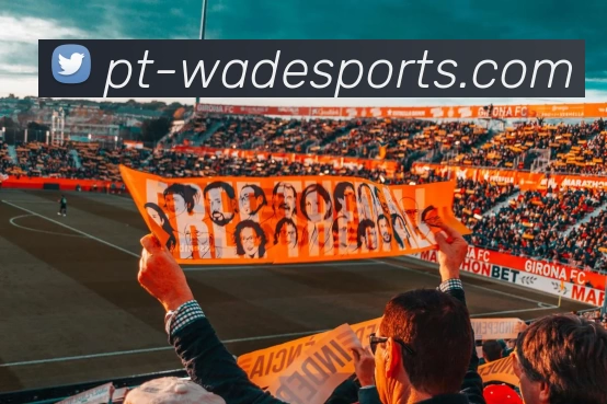 韦德体育APP 封面图